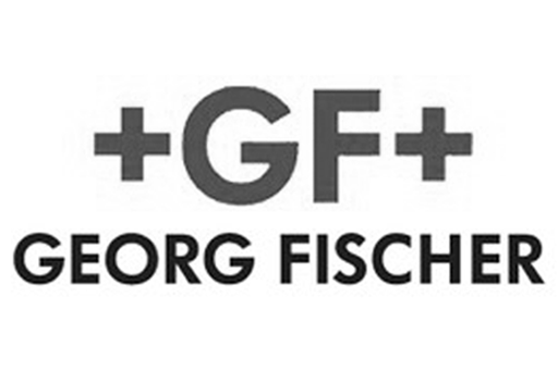 Visit Georg Fischer LLC Website