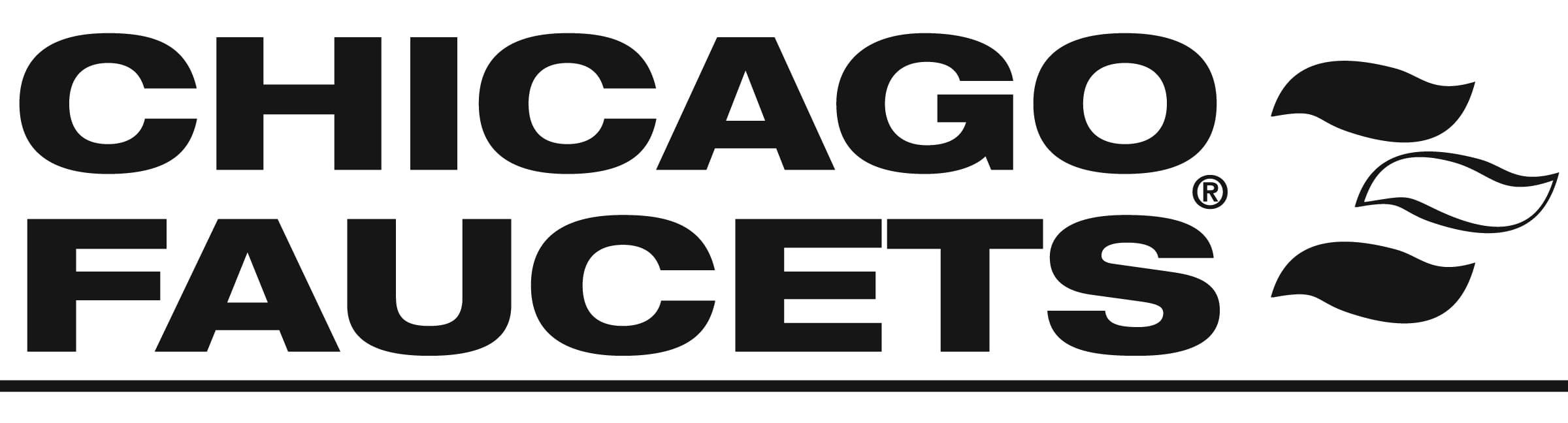 Visit Chicago Faucets Website